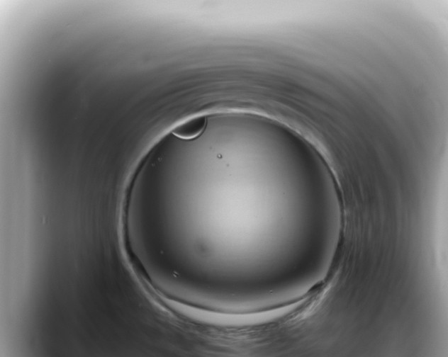 X0000088741533200706071650