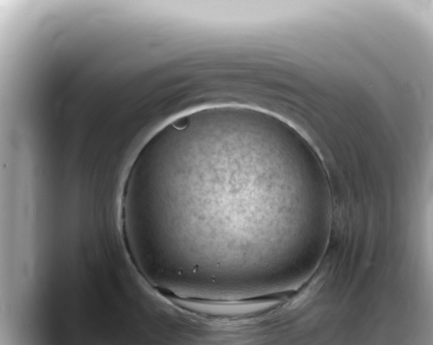 X0000088741535200706071650