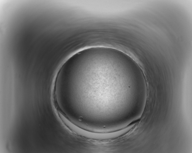 X0000088741536200706071650