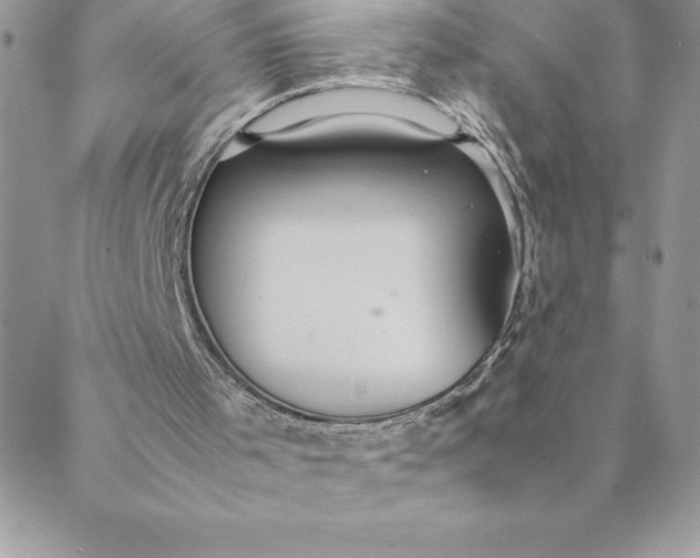 X0000088740001200706141715