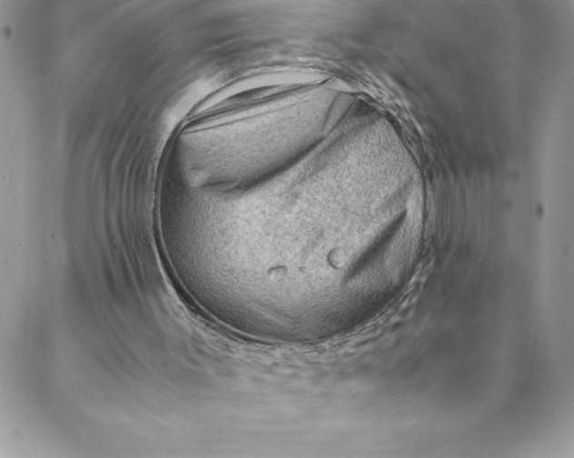 X0000088740003200706141715