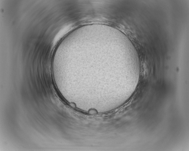 X0000088740004200706141715