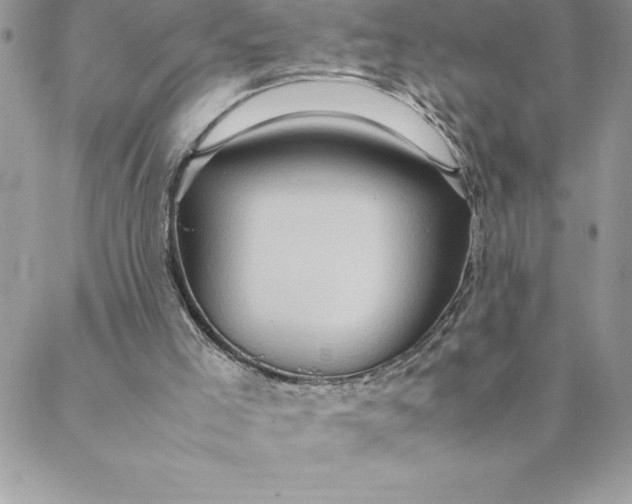 X0000088740005200706141715