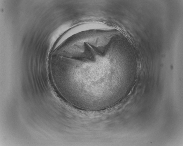 X0000088740006200706141715