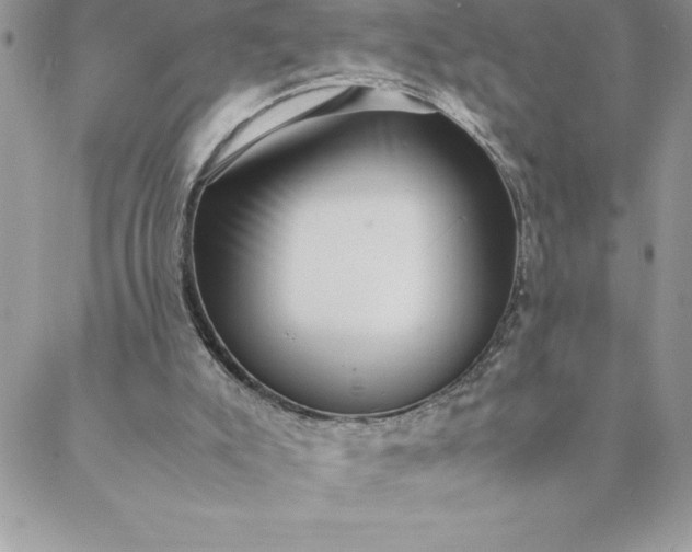 X0000088740007200706141715