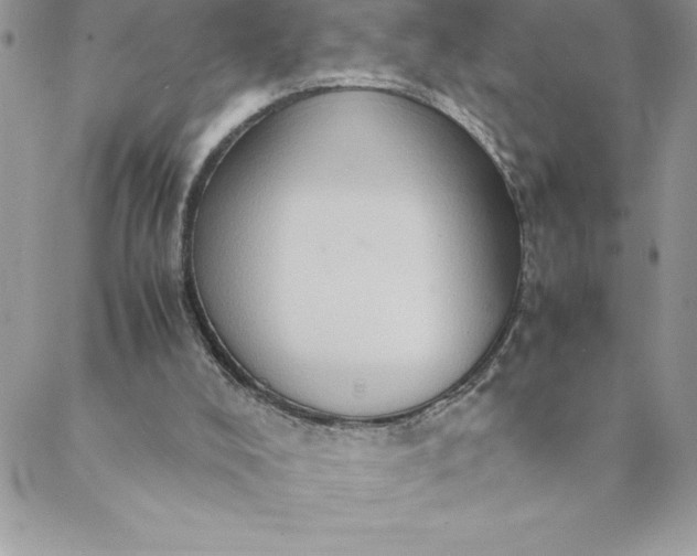 X0000088740008200706141715