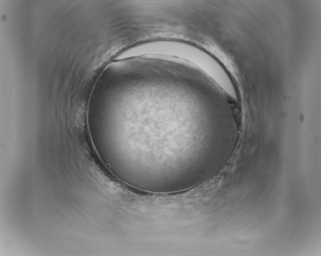 X0000088740009200706141715