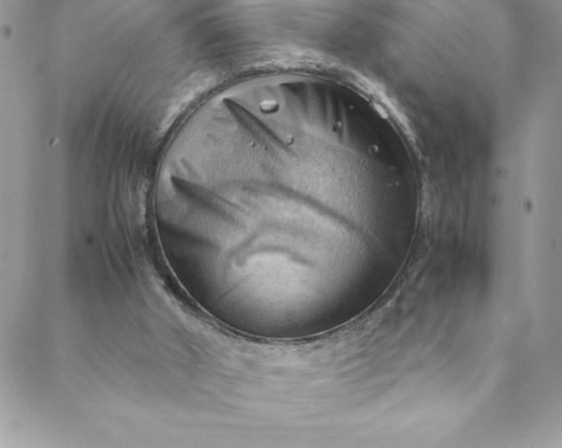 X0000088740010200706141714