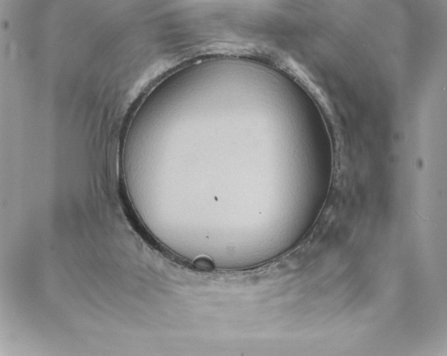 X0000088740011200706141714