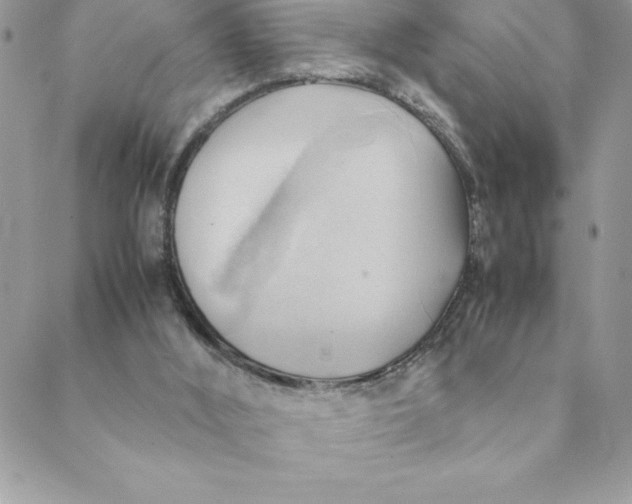 X0000088740012200706141714