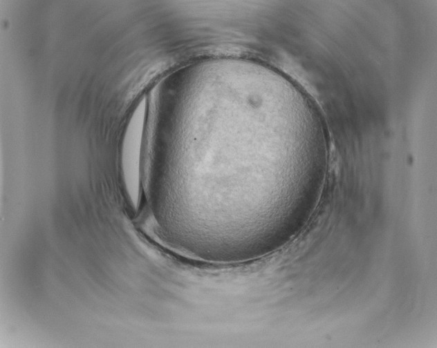 X0000088740013200706141714