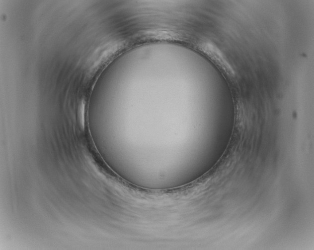 X0000088740014200706141714