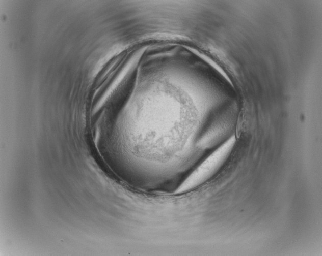 X0000088740015200706141714