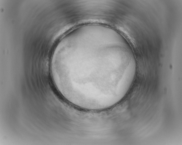 X0000088740016200706141714