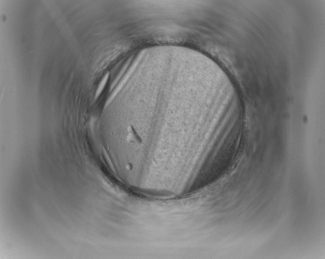 X0000088740017200706141714