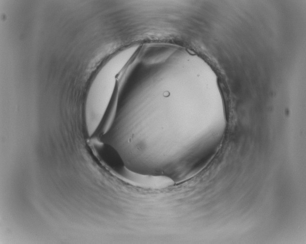 X0000088740019200706141714