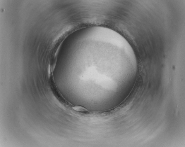 X0000088740020200706141714