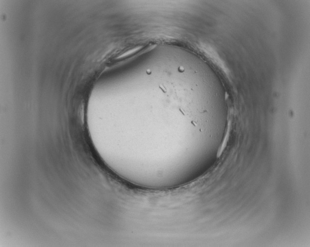 X0000088740021200706141714