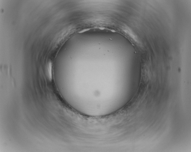 X0000088740022200706141714