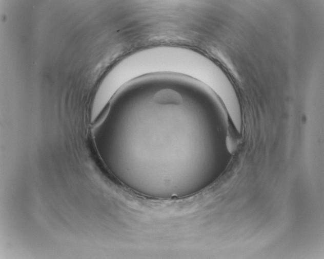 X0000088740023200706141714