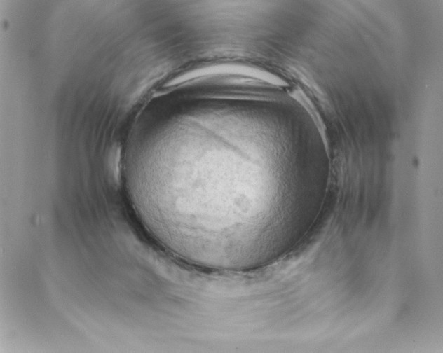 X0000088740024200706141714