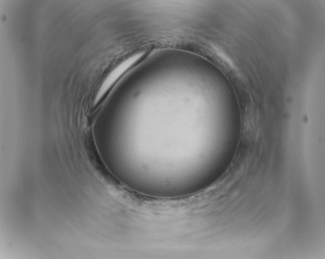 X0000088740025200706141714