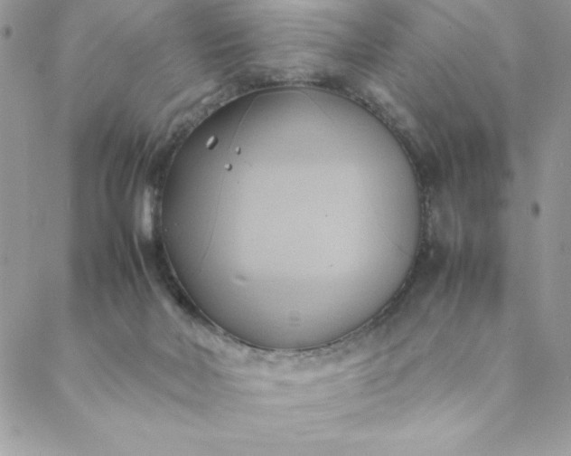 X0000088740026200706141714