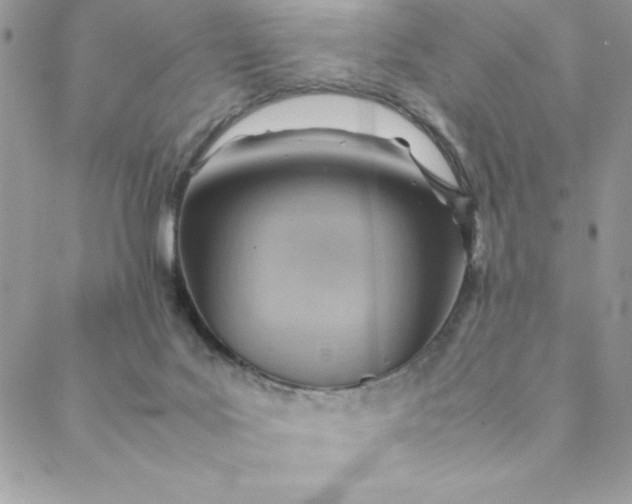 X0000088740027200706141714