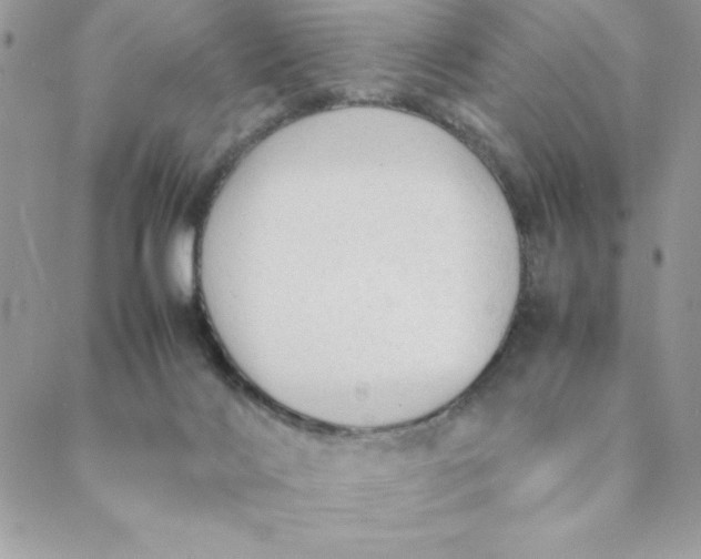 X0000088740028200706141714