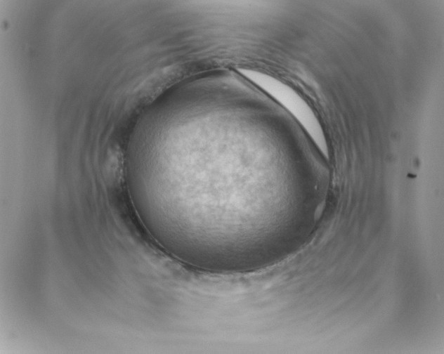 X0000088740029200706141714