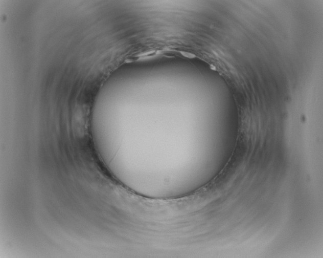 X0000088740030200706141714