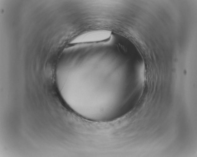 X0000088740031200706141714