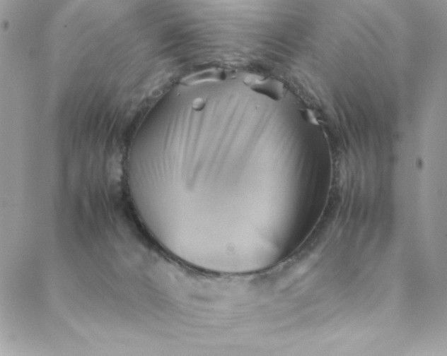 X0000088740032200706141714