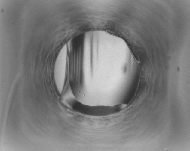 X0000088740033200706141714