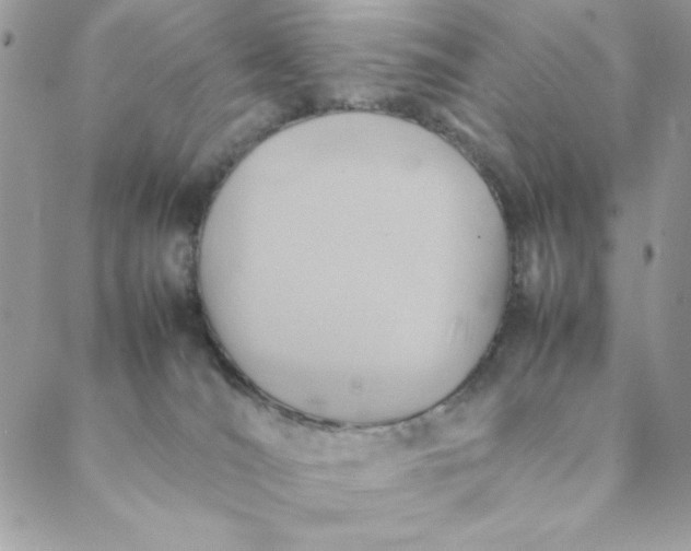 X0000088740036200706141714