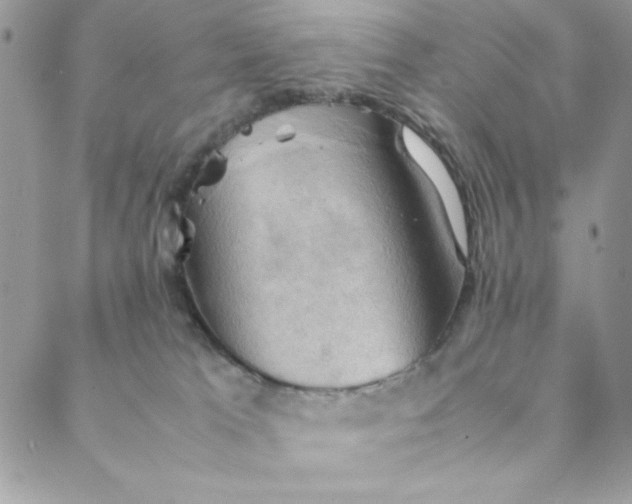 X0000088740037200706141714