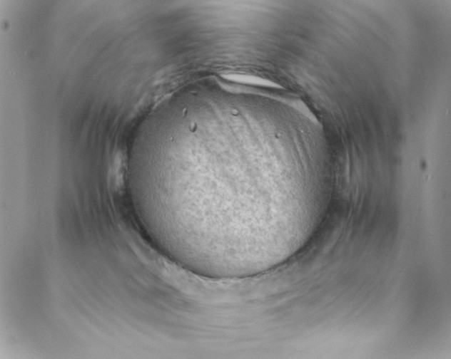 X0000088740038200706141714