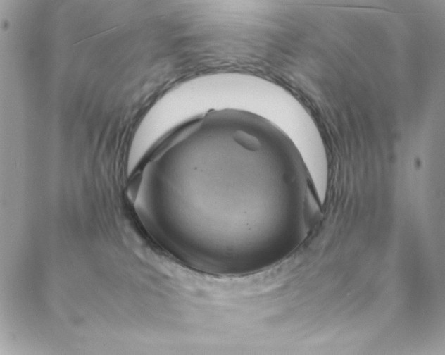 X0000088740039200706141714