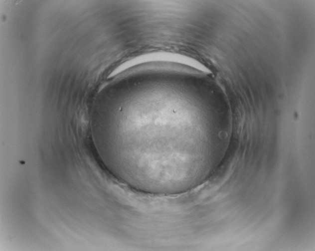 X0000088740040200706141714