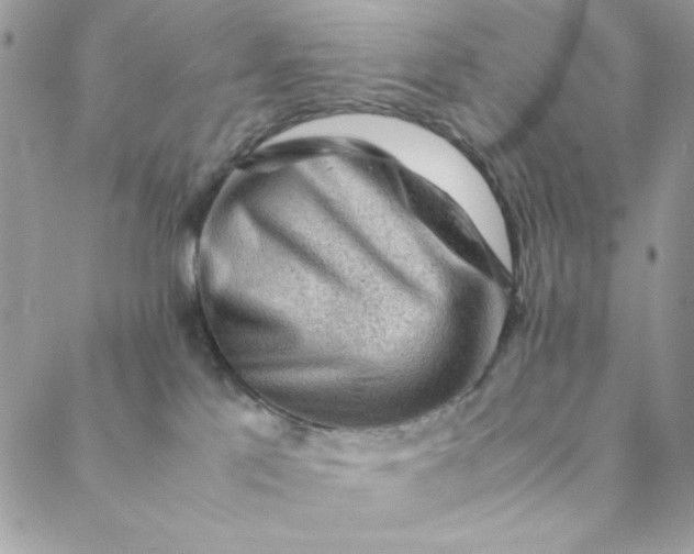 X0000088740041200706141714