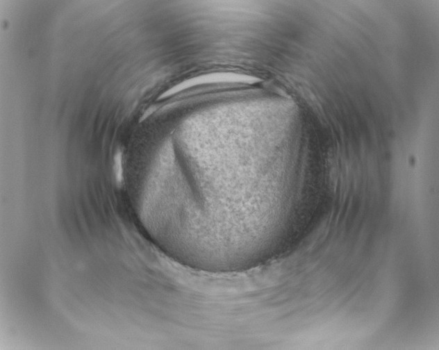 X0000088740042200706141714