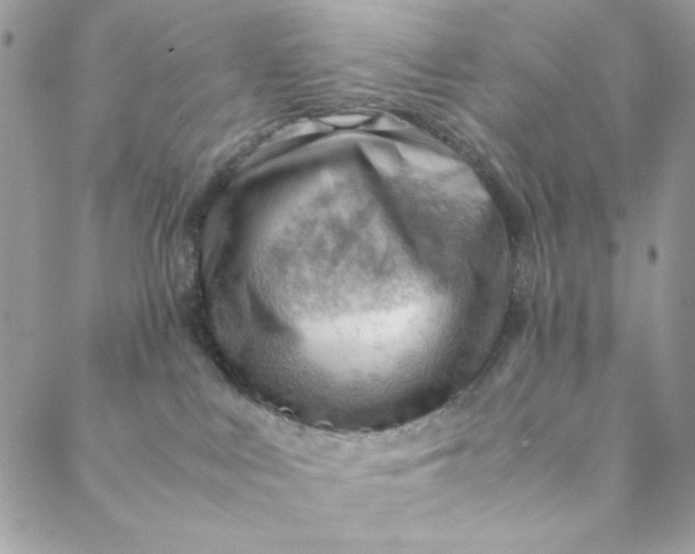 X0000088740043200706141714