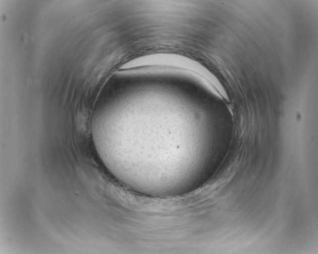 X0000088740044200706141714