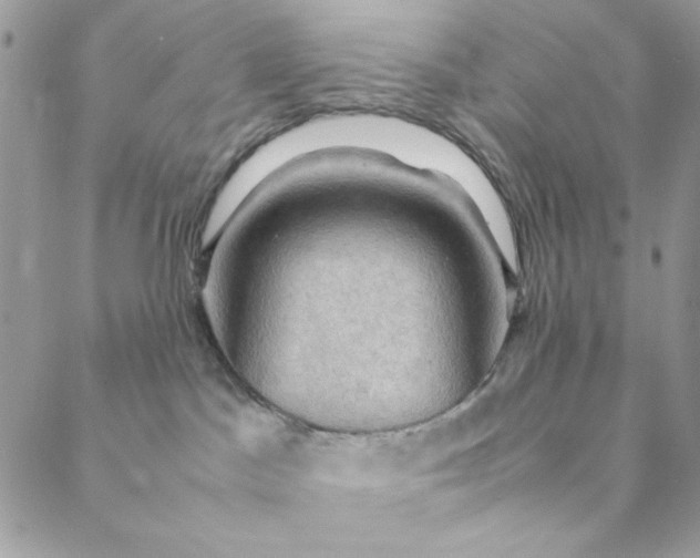 X0000088740045200706141714