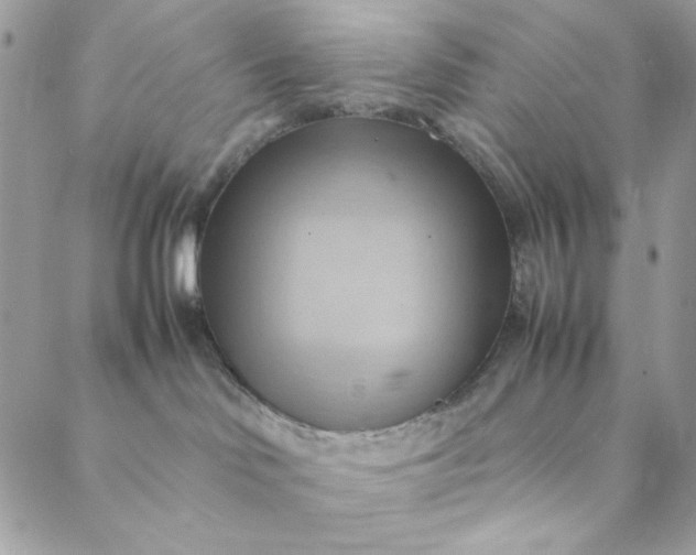 X0000088740046200706141714