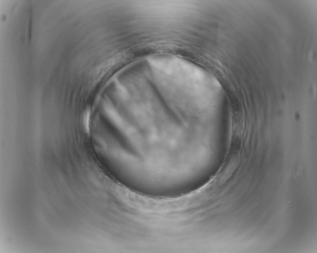 X0000088740047200706141714