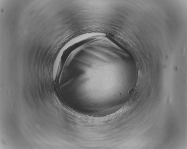 X0000088740048200706141714