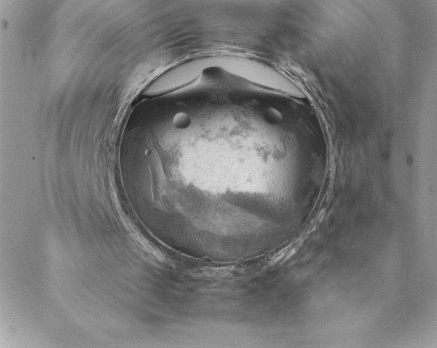 X0000088740049200706141713