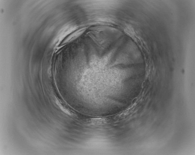 X0000088740050200706141713