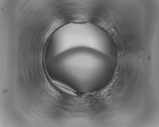 X0000088740051200706141713